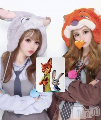 ��ë����Х��顦�����CLUB��Paladin(����֡��ѥ�ǥ���) �����12��2���̥�֥����֤��Ⱦ�������