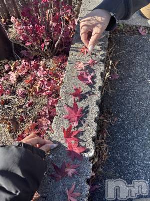 ��ë����Х��顦�����CLUB��Paladin(����֡��ѥ�ǥ���) �����12��9���̥�֥�����🍁��