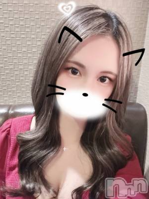 ��ë����Х��顦�����CLUB��Paladin(����֡��ѥ�ǥ���) �����12��26���̥�֥����֤���5������