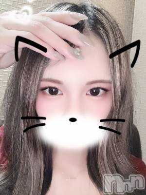 ��ë����Х��顦�����CLUB��Paladin(����֡��ѥ�ǥ���) �����1��7���̥�֥����֥�����~��