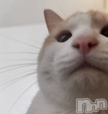 ��ë����Х��顦�����CLUB��Paladin(����֡��ѥ�ǥ���) �����1��12���̥�֥����ֻ�Ϣ��😌🪽💫��