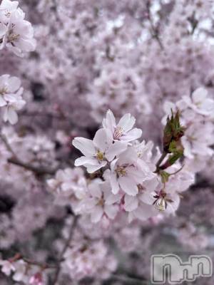 ��ë����Х��顦�����CLUB��Paladin(����֡��ѥ�ǥ���) �����4��13���̥�֥�����🌸��