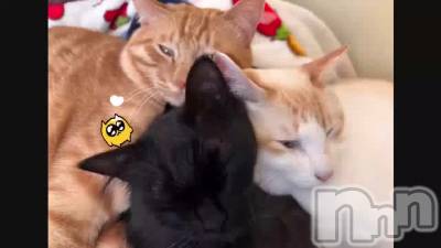 ���ä襤������