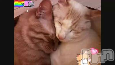 ������������..