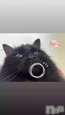 ���٤���