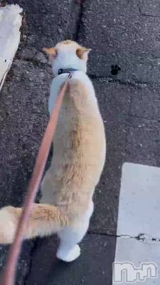 �����