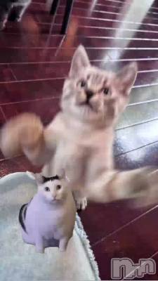 ǭ���ե�