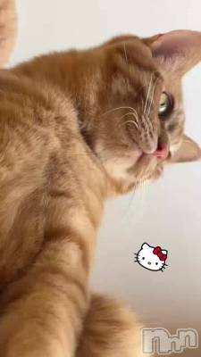 �ˤ��ˤ��ˤ�����