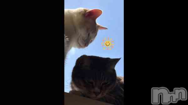 �ֺ����Ρ�