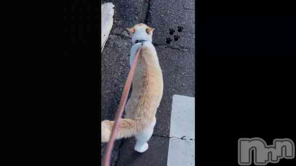 �֤������