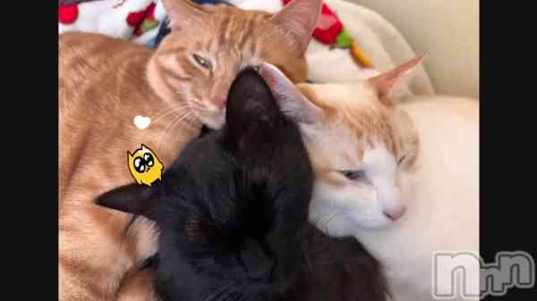 �֤��ä襤�������