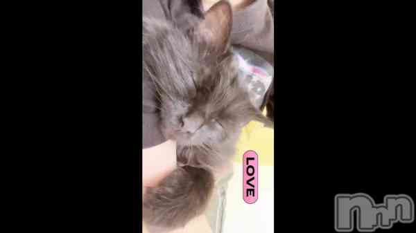 ������ǭ����🐈‍⬛🧡��