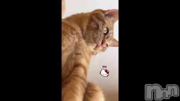 �֤ˤ��ˤ��ˤ�������