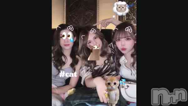 �����고양이🐱��