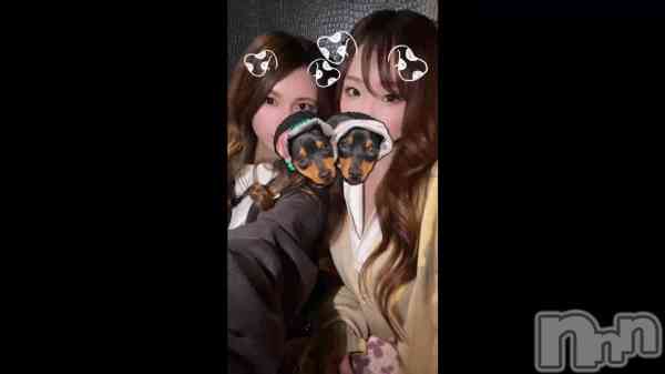 ����ֻ������¡�