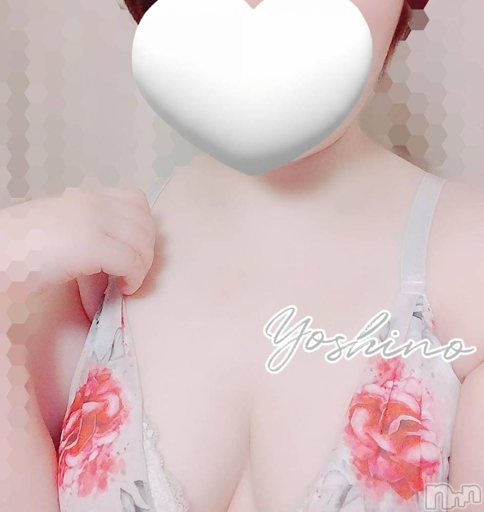 三条デリヘル新潟三条燕ちゃんこ(ニイガタサンジョウツバメチャンコ) よしの(31)の9月18日写メブログ「どっちが好き？」
