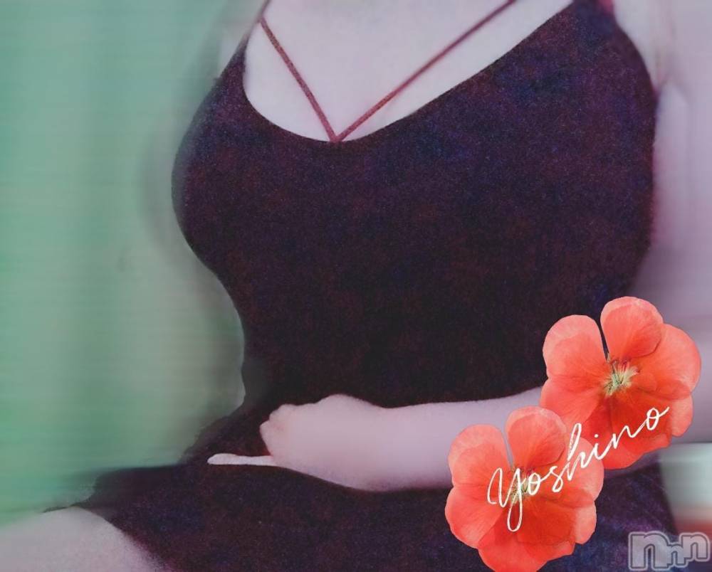 三条デリヘル新潟三条燕ちゃんこ(ニイガタサンジョウツバメチャンコ) よしの(31)の12月30日写メブログ「出勤してます」