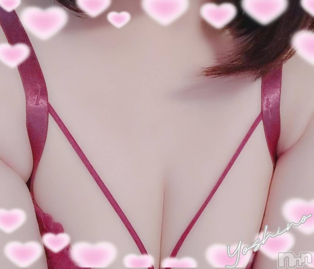 三条デリヘル新潟三条燕ちゃんこ(ニイガタサンジョウツバメチャンコ) よしの(31)の3月1日写メブログ「心も解れる時間を」