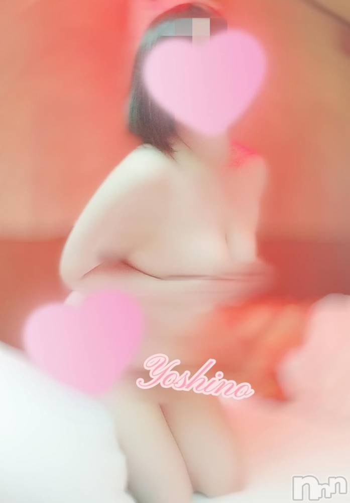 三条デリヘル新潟三条燕ちゃんこ(ニイガタサンジョウツバメチャンコ) よしの(31)の3月14日写メブログ「ホワイトデー＆出勤予定」