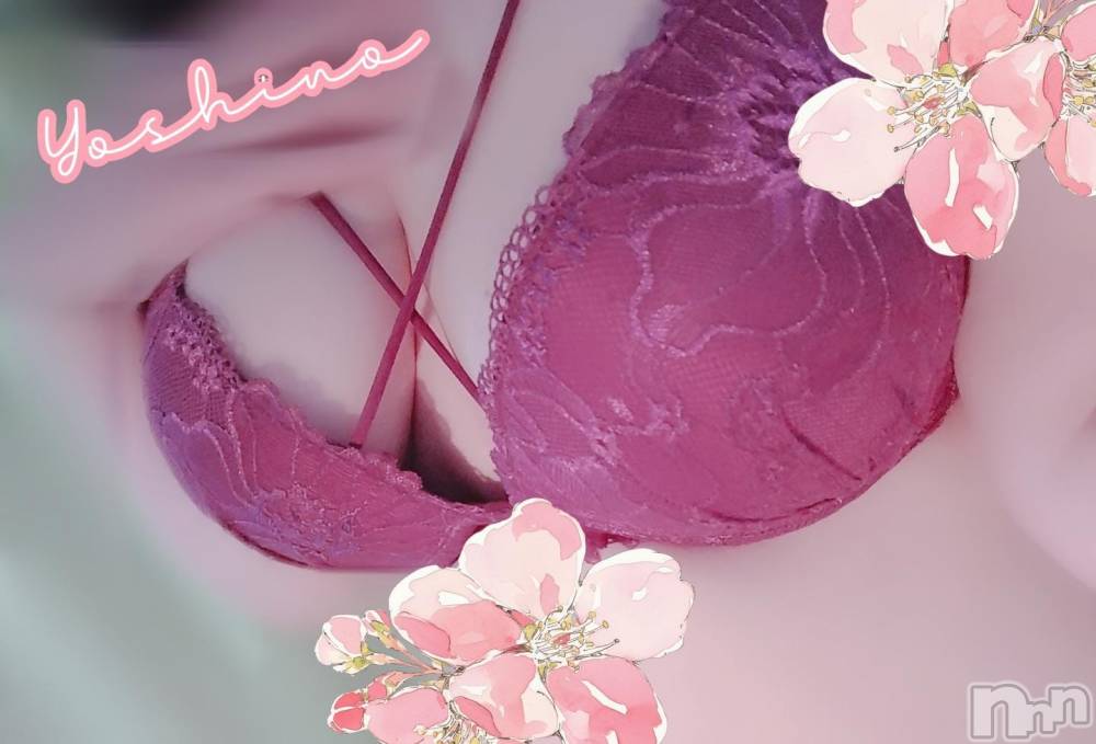 三条デリヘル新潟三条燕ちゃんこ(ニイガタサンジョウツバメチャンコ) よしの(31)の3月20日写メブログ「背徳感を一緒に」