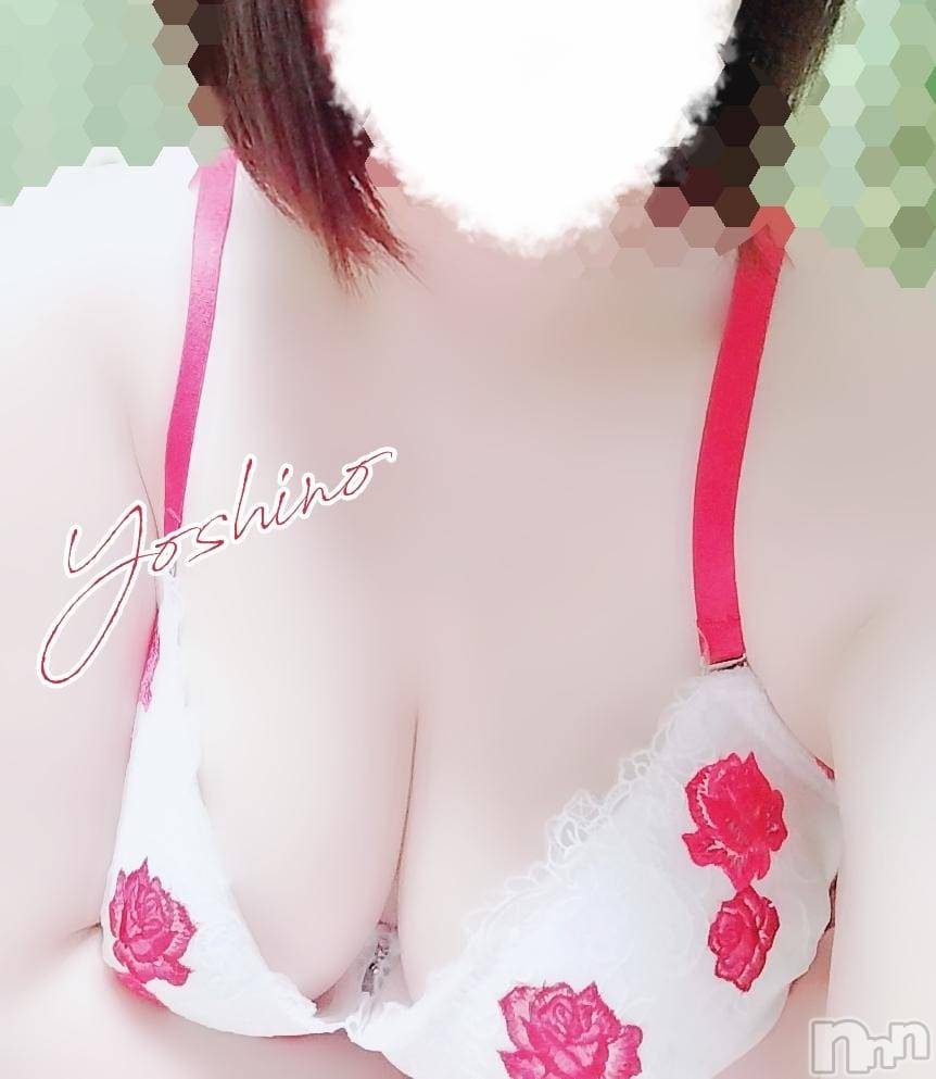 三条ぽっちゃり新潟三条燕ちゃんこ(ニイガタサンジョウツバメチャンコ)よしの(31)の2025年9月6日写メブログ「出勤してます♪」