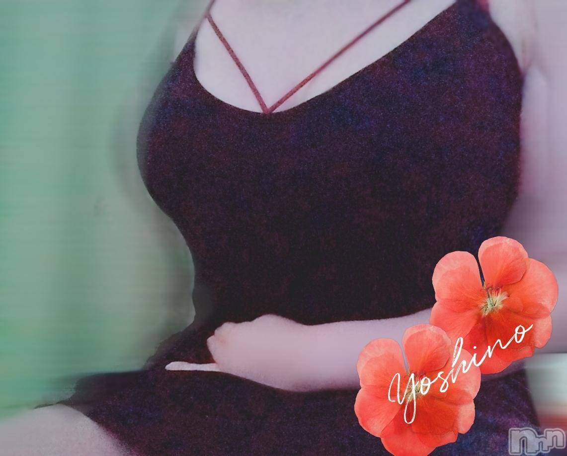 三条デリヘル新潟三条燕ちゃんこ(ニイガタサンジョウツバメチャンコ)よしの(31)の2025年12月30日写メブログ「出勤してます」