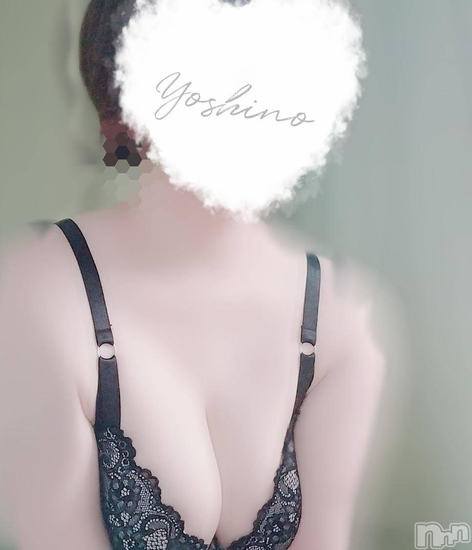 三条デリヘル新潟三条燕ちゃんこ(ニイガタサンジョウツバメチャンコ)よしの(31)の2026年6月24日写メブログ「出勤しました」