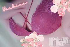 三条デリヘル新潟三条燕ちゃんこ(ニイガタサンジョウツバメチャンコ) よしの(31)の3月20日写メブログ「背徳感を一緒に」