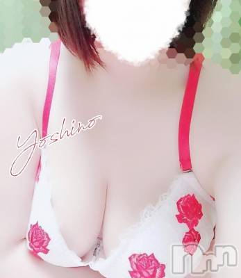 三条ぽっちゃり 新潟三条燕ちゃんこ(ニイガタサンジョウツバメチャンコ) よしの(31)の9月6日写メブログ「出勤してます♪」