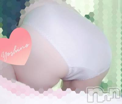 三条デリヘル 新潟三条燕ちゃんこ(ニイガタサンジョウツバメチャンコ) よしの(31)の10月5日写メブログ「つかみたい？」