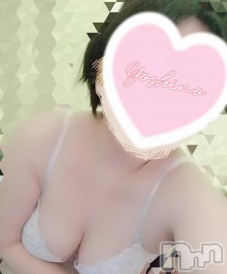 三条デリヘル 新潟三条燕ちゃんこ(ニイガタサンジョウツバメチャンコ) よしの(31)の11月1日写メブログ「出勤してます」