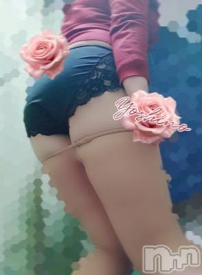 三条デリヘル 新潟三条燕ちゃんこ(ニイガタサンジョウツバメチャンコ) よしの(31)の11月16日写メブログ「触ってほしい」