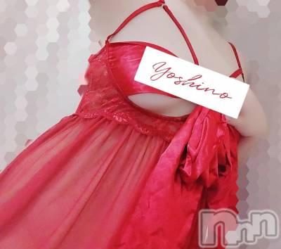 三条デリヘル 新潟三条燕ちゃんこ(ニイガタサンジョウツバメチャンコ) よしの(31)の4月1日写メブログ「出勤しました」