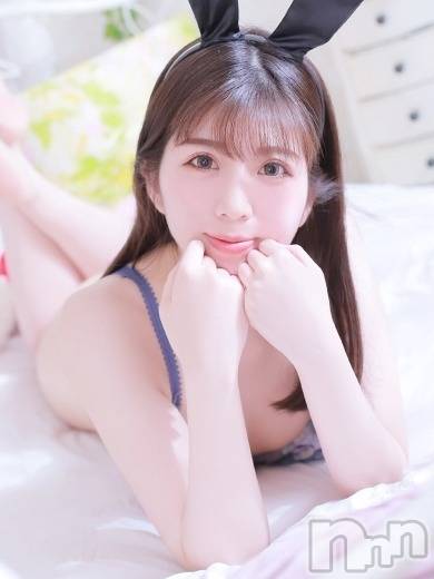 ノエル