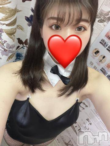 新潟ソープ新潟バニーコレクション(ニイガタバニーコレクション)ノエル(24)の2024年3月1日写メブログ「こんにちは✨」