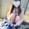 ちり(18)
