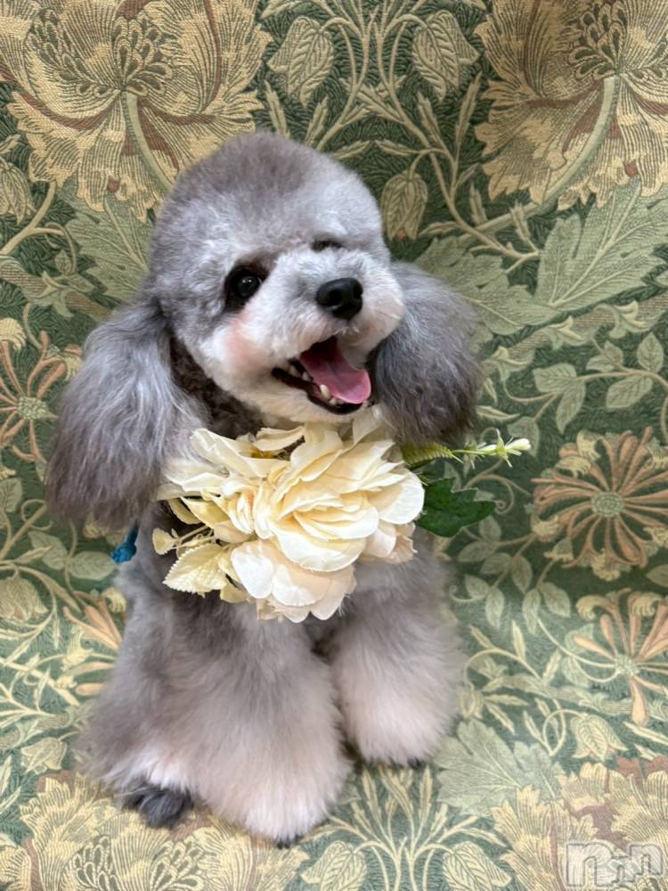Х顦CLUB ALBATROSS(Хȥ) saya820̥֥🐶🍼