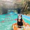 新潟人妻デリヘル 熟女の風俗 最終章(ジュクジョノフウゾクサイシュウショウ) さとみ(50)の10月13日写メブログ「復帰2日目もよろしくお願いいたします💕」
