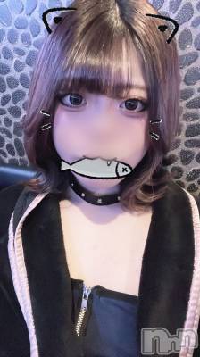 С㤭SUPER ANGEL(ѡ󥸥) ߤǤ224̥֥֤ˤ