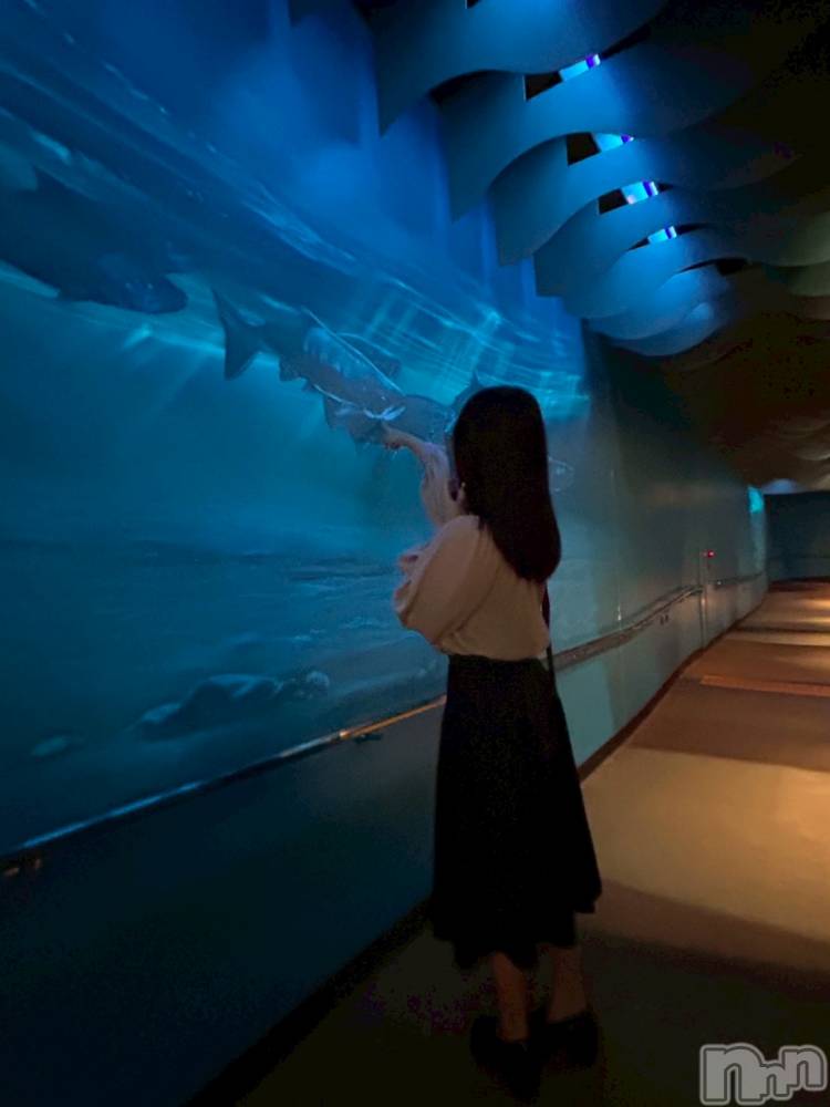 新潟駅前スナック・ガールズバーGirls Bar Philia(ガールズバーフィリア) ひなの10月17日写メブログ「何って言ってると思いますか????」