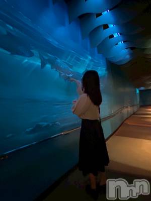 ʥå륺СGirls Bar Philia(륺Сեꥢ) Ҥʤ1017ֲ̥֥äƸäƤȻפޤ