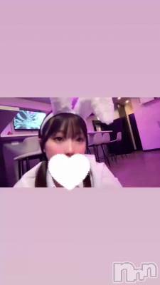 ˤʤޤ( ᐢ. ̫ .ᐢ )