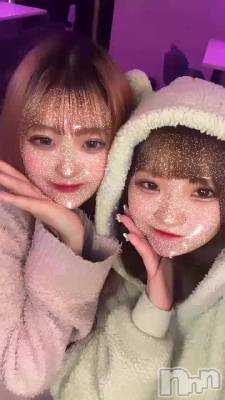 🐻‍