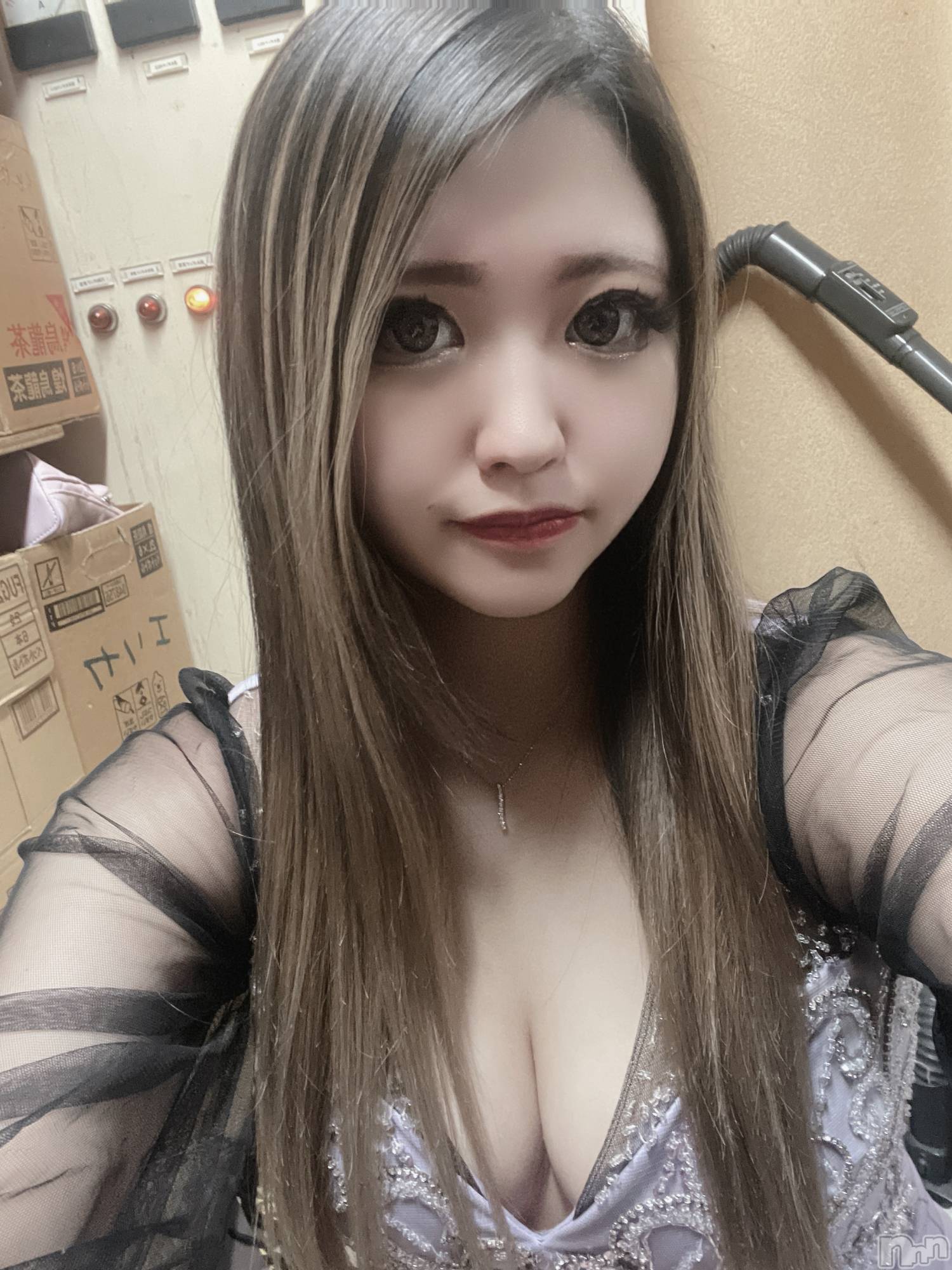 Х顦Armada(ޡ) 2025ǯ129̥֥֤餵ס💜🦄