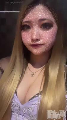 饵