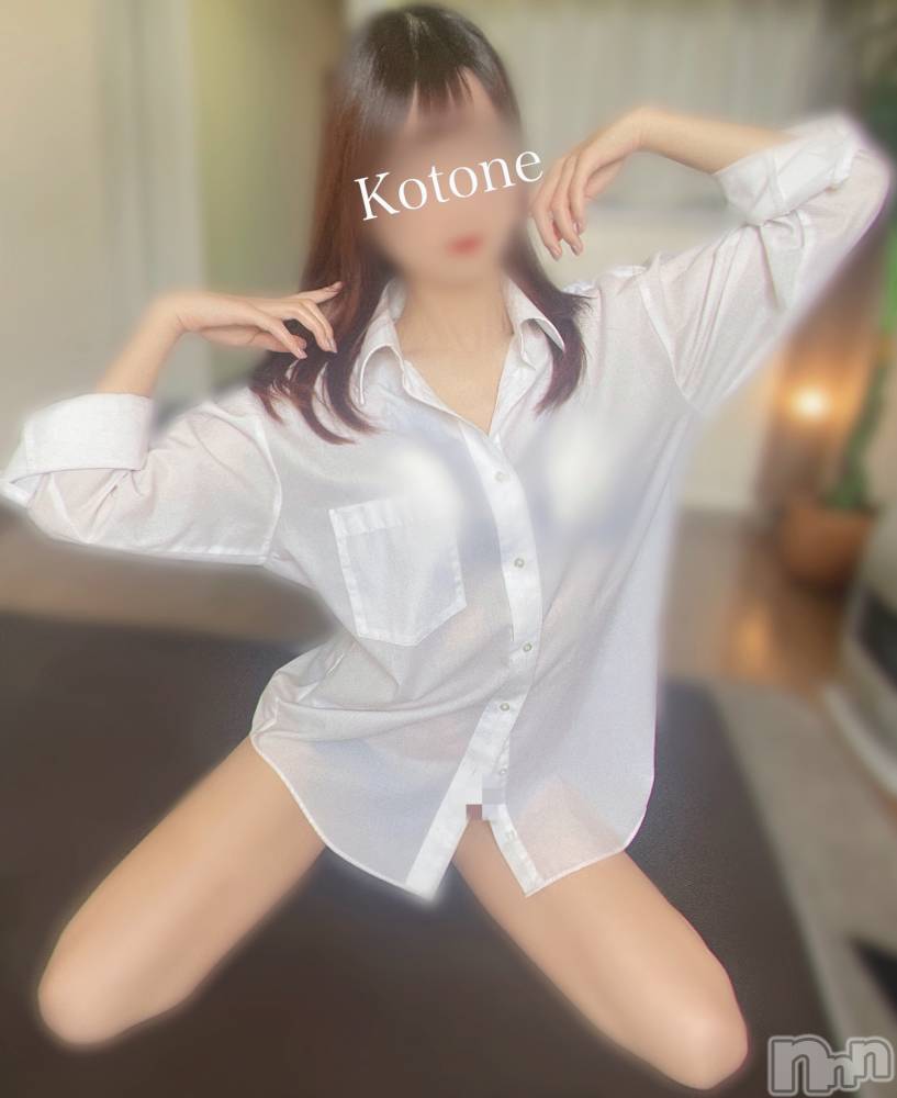㡦ȯĥꥢ󥺥Ƥޤơ(ޥƥåȥ˥) ײȤͤ210̥֥Ķ쥢롢ƨ