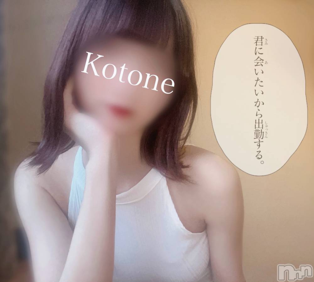 㡦ȯĥꥢ󥺥Ƥޤơ(ޥƥåȥ˥) ײȤͤ219ַ̥֥˲񤤤жФ