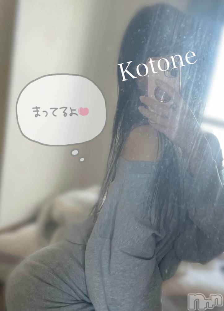 㡦ȯĥꥢ󥺥Ƥޤơ(ޥƥåȥ˥) ײȤͤ36̥֥΢ҤǤ