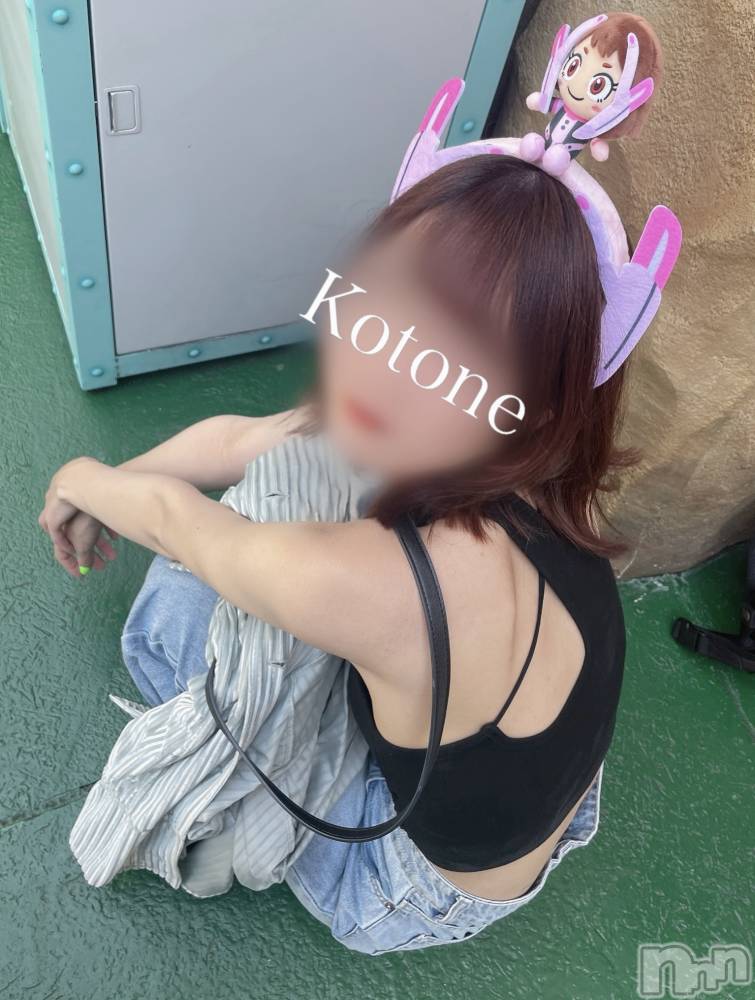 㡦ȯĥꥢ󥺥Ƥޤơ(ޥƥåȥ˥) ײȤͤ66̥֥֤Կ͵❓