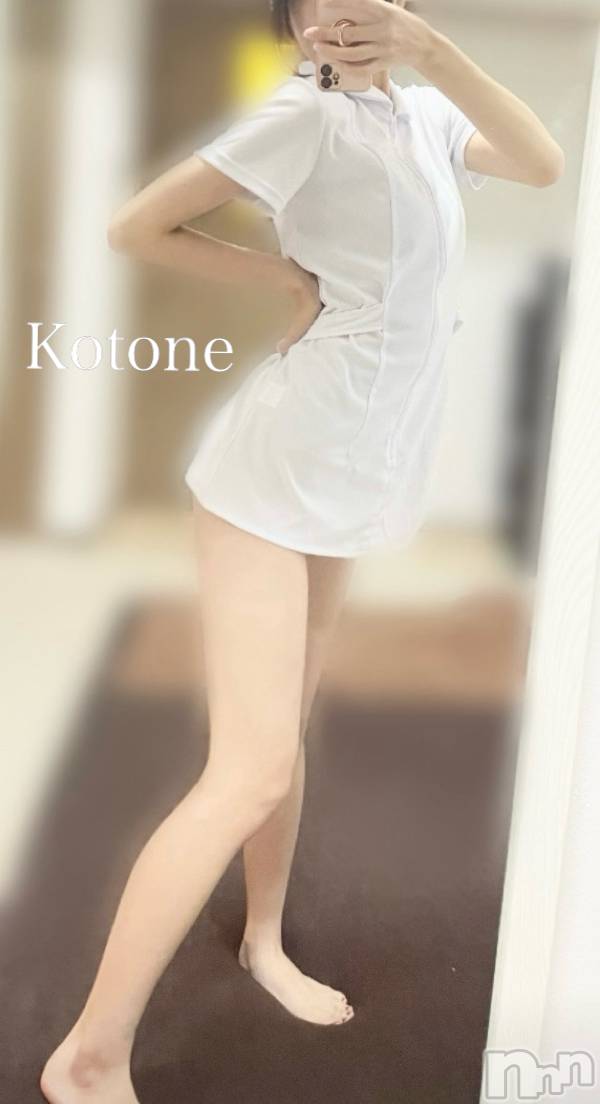 㡦ȯĥꥢ󥺥Ƥޤơ(ޥƥåȥ˥) 2024ǯ18̥֥դݡ